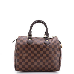 Louis Vuitton 25 Speedy Handbag Damier